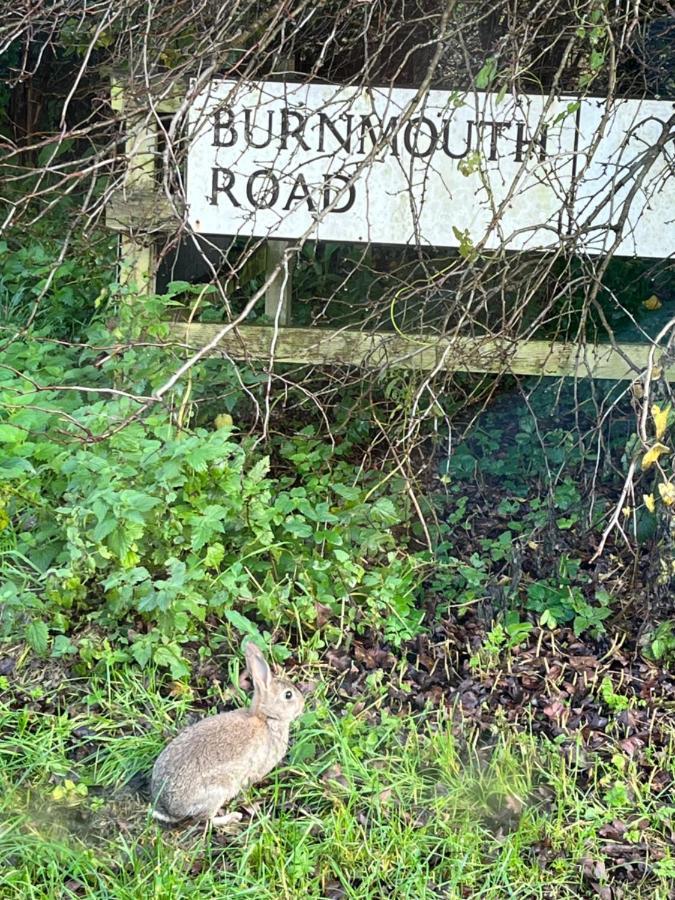 River House Birnam エクステリア 写真